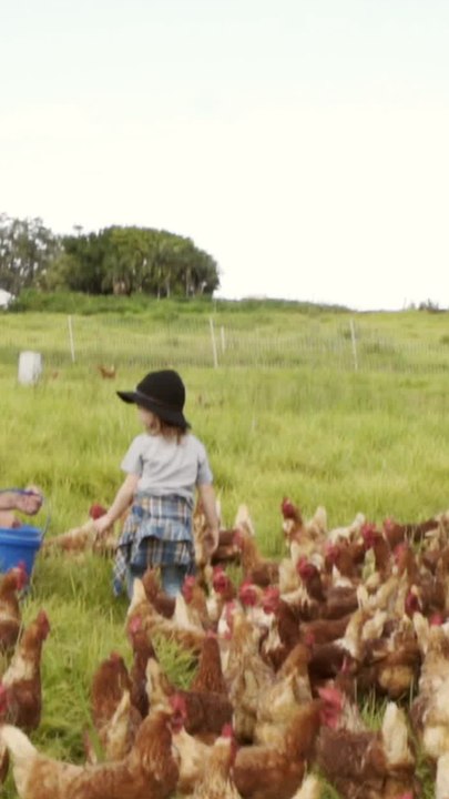 ECTLS - Pourquoi les poules ne volent pas ?