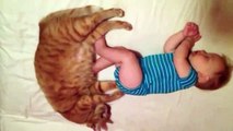 #CUTE - Gato da masaje a las pompitas de este bebé