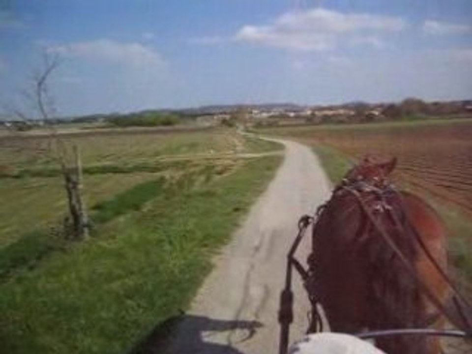 MVI_2522