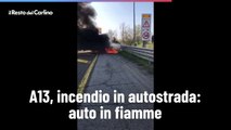 A13, incendio in autostrada: auto in fiamme. Il video