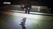 Encuentran salamandra gigante de 200 años en China