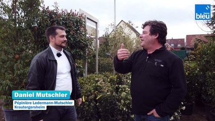 3/5 : Quelles haies choisir pour la biodiversité ?