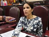 Mónica Robles, diputada local, confesó 