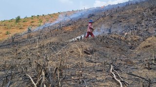 90 cán bộ, nhân viên bị kiểm điểm vì để suy giảm hơn 27.000ha rừng