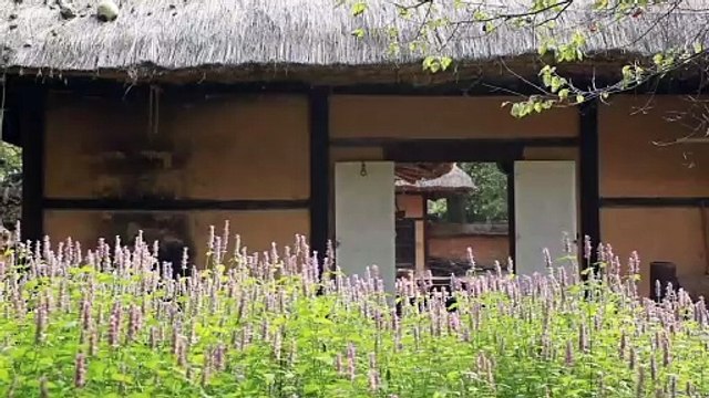 Âm nhạc thư giãn trị liệu với cảnh đẹp nhân gian - Bản giao hưởng của thiên nhiên