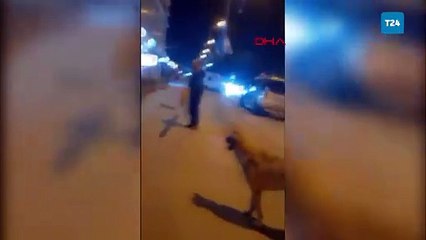 Çekmeköy'de tacizden kurtaran köpeğe kurşun tartışması