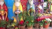 Disney California Adventure - Dia de Reyes holiday decorations in Viva Navidad area