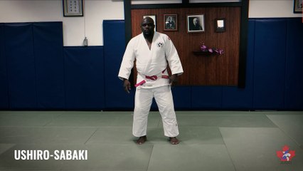 GOKYO : Clip 067 : Tai-Sabaki