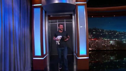 Jimmy Kimmel Live!: Animales salvajes con Dave Salmoni