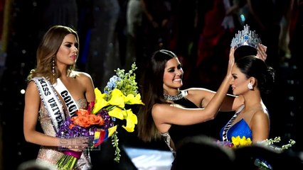 Video herunterladen: Steve Harvey Show: Steve Harvey habla sobre el concurso de Miss Universo