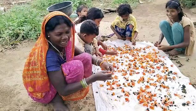 ग्रामीण बना रहे पलाश के फूल से रंग, इस गांव में आदिवासियों की है परम्परा