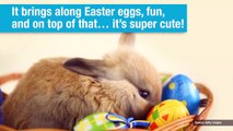 #Top10 - Los conejos de Pascua más escalofirantes de todos los tiempos