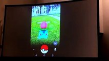 Pokemon Go (Imagenes filtradas)