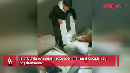 İstanbul'da ev sahibini şoke eden manzara! Kokudan evi boşaltamadılar