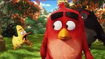 The Angry Birds - Official Movie CLIP: Mighty Eagle Noises (2016) HD - Jason Sudeikis, Josh Ga Movie