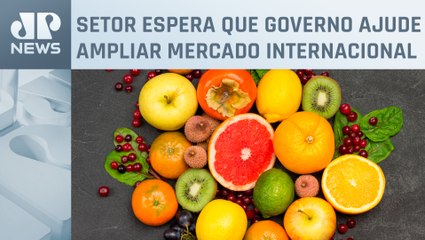 Brasil fatura mais de US$ 1 bilhão com exportação de frutas em 2023