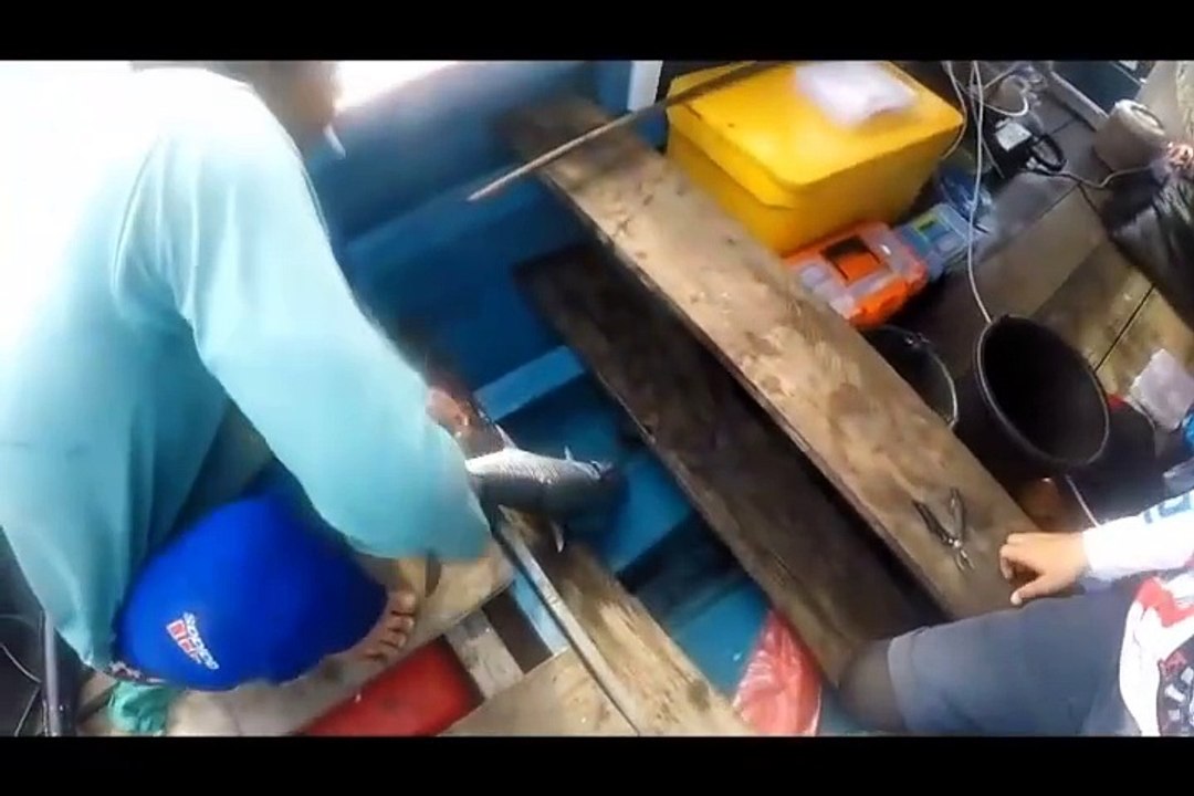WOW !!! STRIKE PARTY - CATCH AND COOK ON A BEAUTIFUL ISLAND