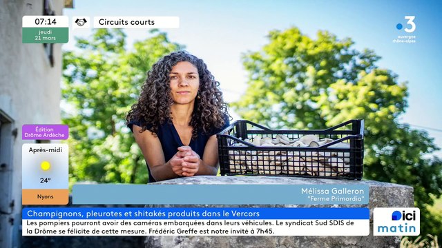 À Saint-Martin-en-Vercors, la ferme Primordia, ses pleurotes et shiitakés Bio, frais, secs, en pickles