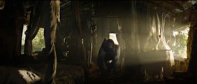 The Legend of Tarzan - Official IMAX Movie Trailer (2016) HD - Margot Robbie, Alexander Skarsgård Movie