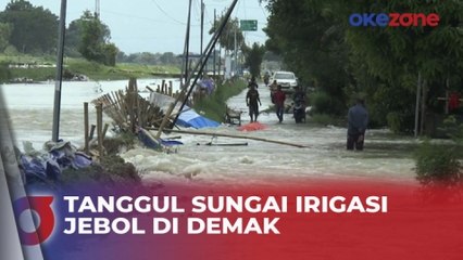 Tanggul Sungai Irigasi Jebol Usai Tak Mampu Tahan Debit Air Banjir di Demak