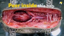 Impresionante campaña de PETA´s contra la crueldad animal en la Industria de las Pieles