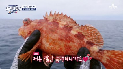 전설의 아카하타 등장!!!!은 무슨ㅋㅋ 꽝 걸린 경규의 억지 쇼♨♨