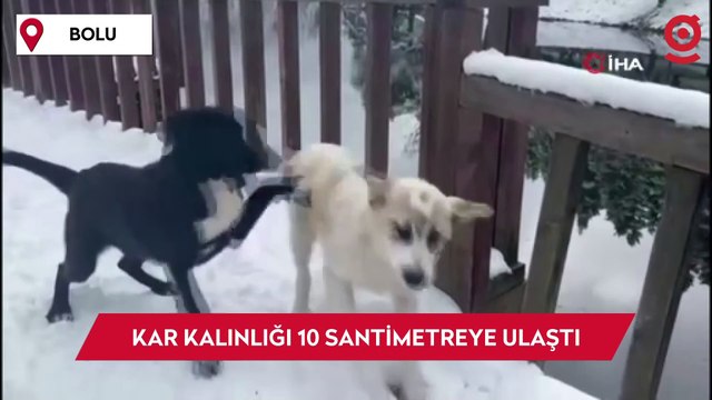 Gölcük Tabiat Parkı'nda kar kalınlığı 10 santimetreye ulaştı