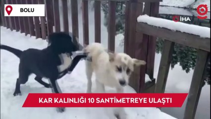 Gölcük Tabiat Parkı'nda kar kalınlığı 10 santimetreye ulaştı