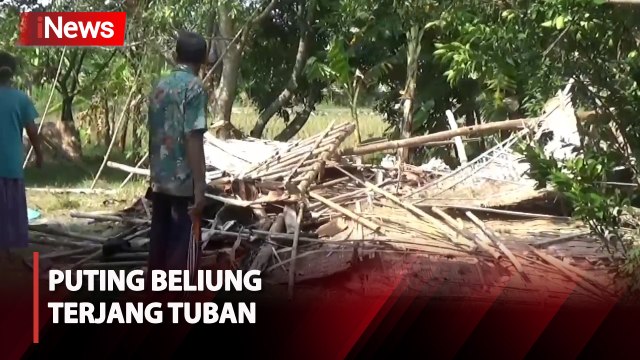 Detik-Detik Puting Beling Terjang Permukiman Warga di Tuban