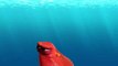 Finding Dory - Now Playing (2016)