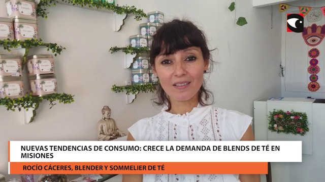 Crece la demanda de blends de té en Misiones