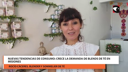 Crece la demanda de blends de té en Misiones