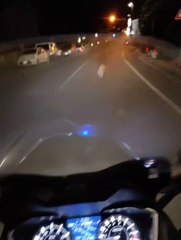 Lupi e cinghiali, scene di caccia sulla Bolognese