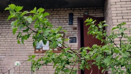 Преторианец 8 серия (2024) — Новые приключения и неожиданные повороты