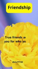 Useful sayings for everyone17