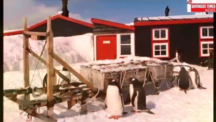 unique job offer in the world coldest region|دنیا کے انتہائی سرد ترین خطے میں انوکھی ملازمت کی پیشکش