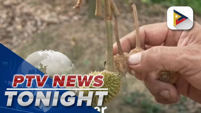 Vietnam farmers struggle for fresh water as drought brings salinization