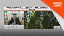 Hari Hutan Sedunia: Inovasi dan teknologi bantu pemeliharaan, keunikan hutan