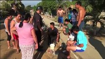 Rescatan a perro atorado en una pared en Perú