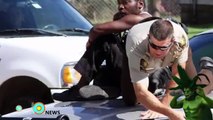 Pit bulls attack cop