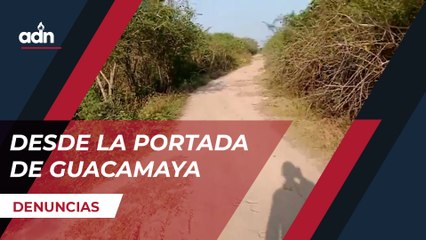 Desde la portada de Guacamaya