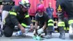 Rescatan gatito de los escombros tras sismo en Italia