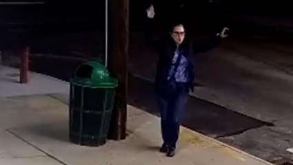 Suspect dances in front of CCTV after ‘spray painting anti-ethnic graffiti’ on food cart