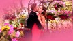 Señora Acero 3 - Revive la historia de amor entre Vicenta y Daniel - Series Telemundo