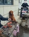 A dog can't stop drooling in front of a grill or barbecue