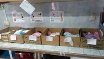 Polemica por Bebes de Venezuela en cajas por falta de incubadoras