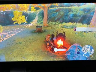 Legend of Zelda - Tears of the Kingdom - Roasting 101 - Baked Apples -  Toasty Skyshrooms