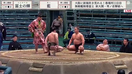 Haru 2024, Jonidan - Day 11