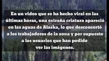 Captan vídeo del monstruo del Lago Ness
