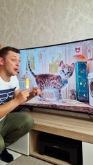 Funny fail video, Top 10 funny video, Top funny video sites, Non stop comedy, Snaakse video, Challenging funny video, Top new comedy, Try not to laugh